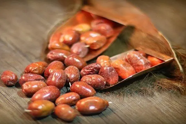 تعبیر خواب سنجد برای زن باردار چیست